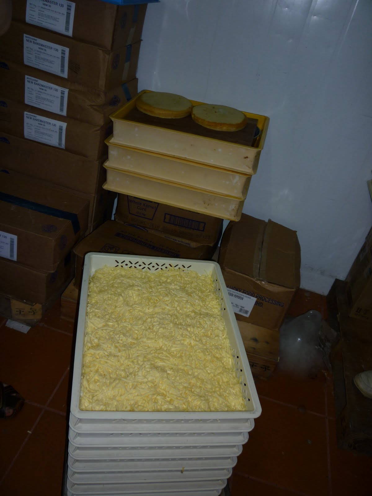 [P1000275.JPG]
