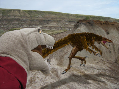 Troodon Fossil