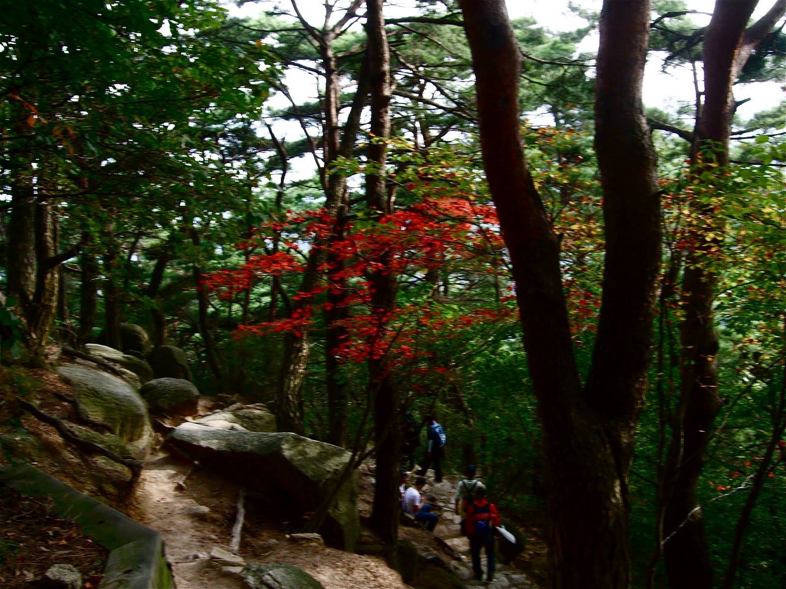 [DSCF4964.JPG]