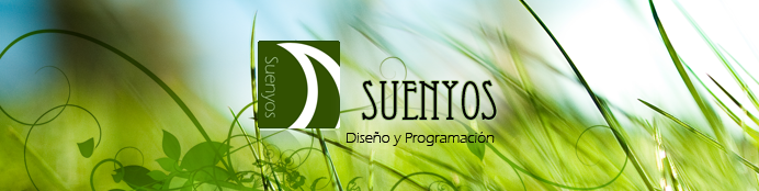 Diseño y Programación Suenyos