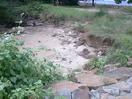 [Image036.jpg]