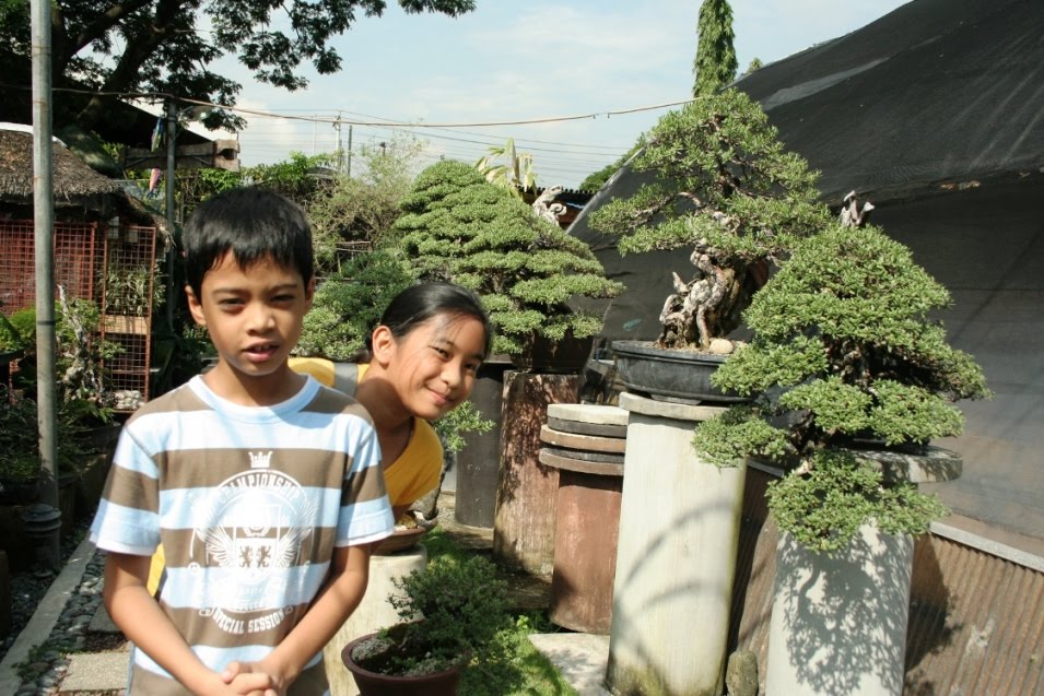Manila Seedling Bank