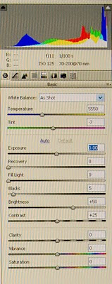 raw converter adjustment panels in photoshop