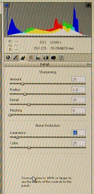 raw converter adjustment panels in photoshop