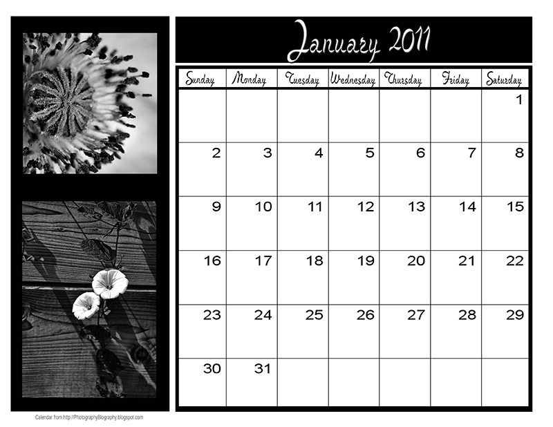 2011 calendar with bank holidays printable. royal wedding ank holiday uk