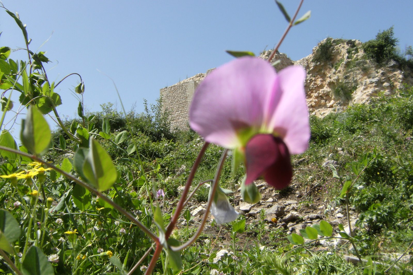 [DSCF1427.JPG]