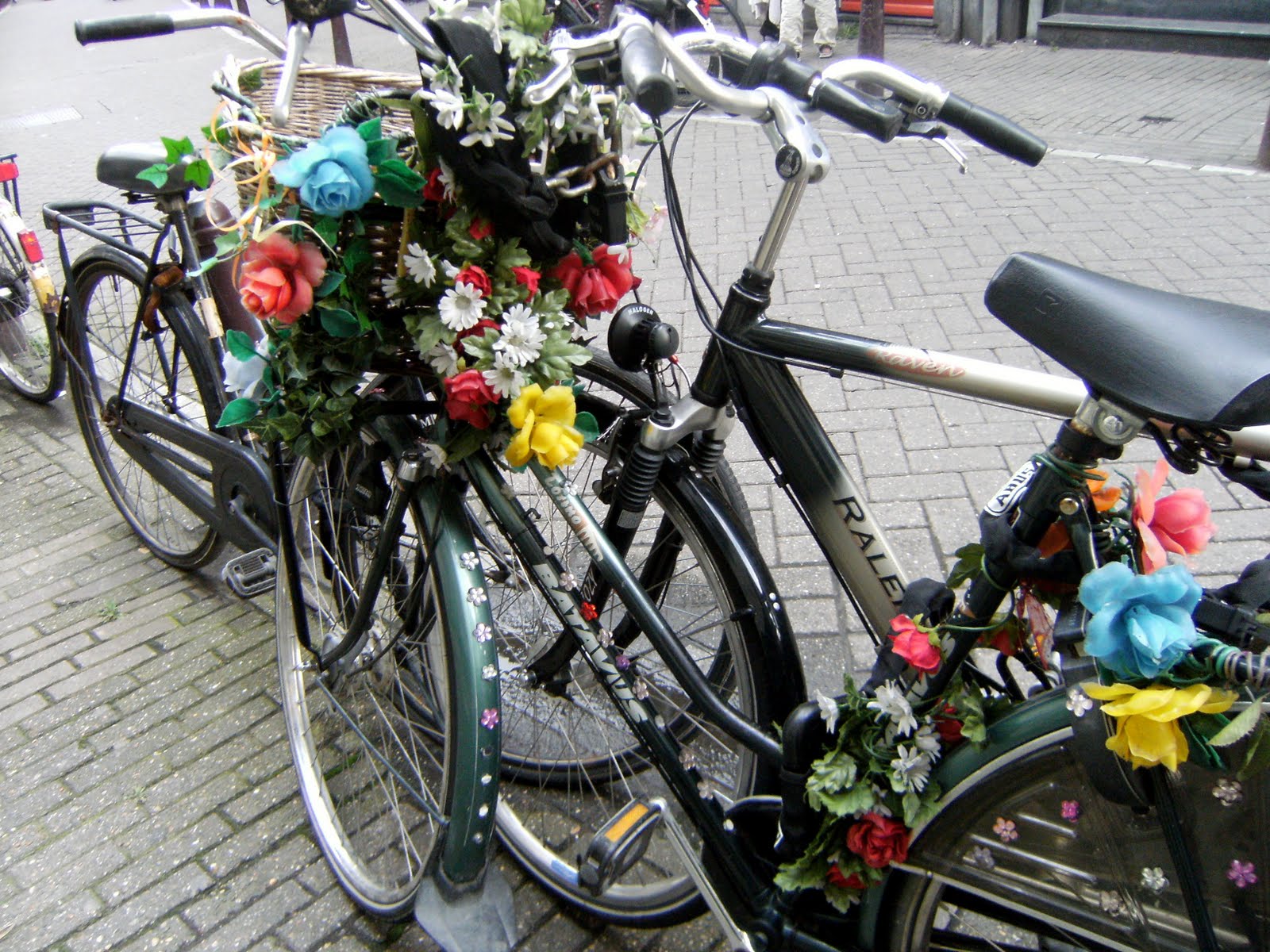 [DSCF4030.JPG]