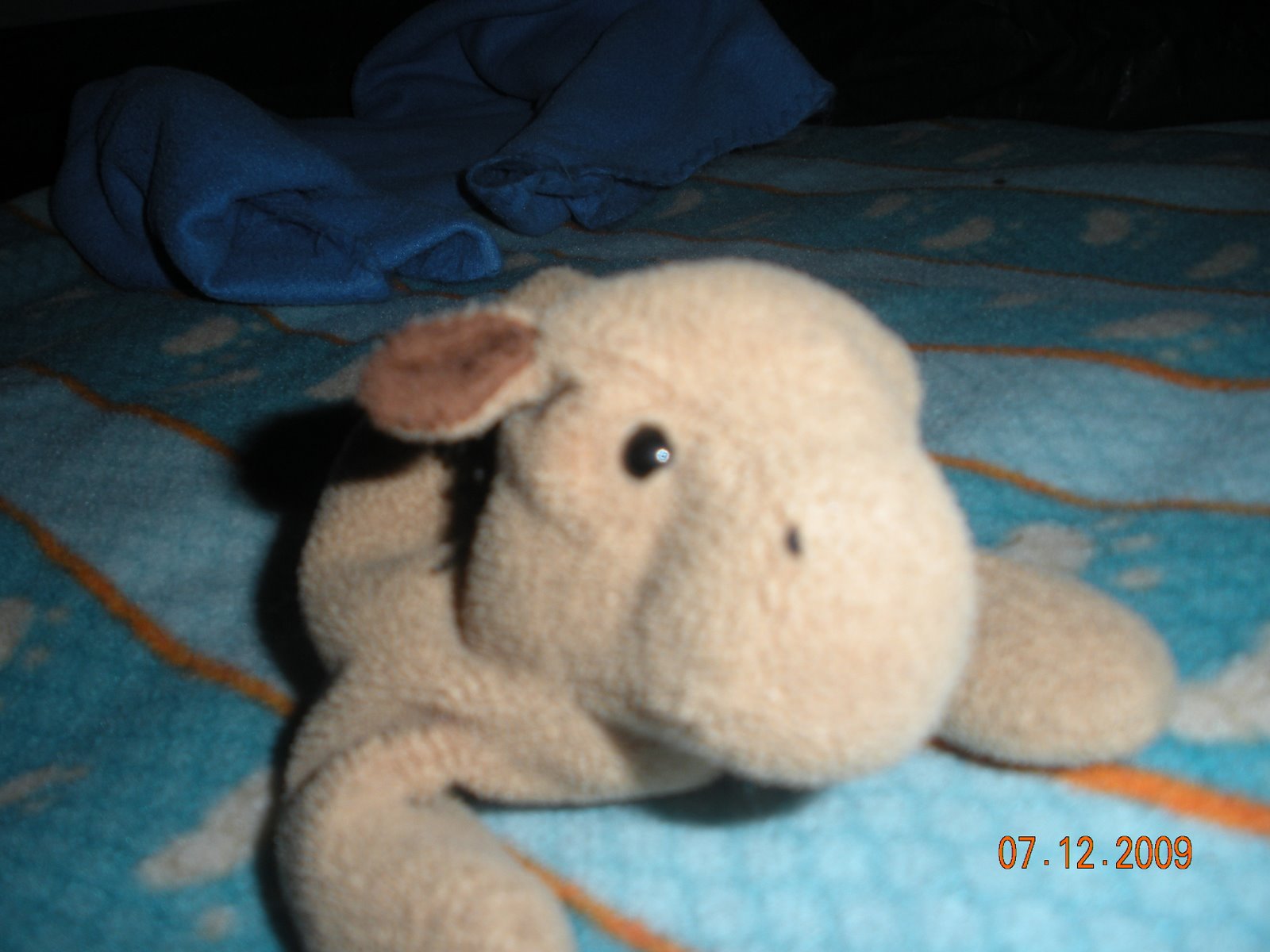 [DSCN1027.JPG]