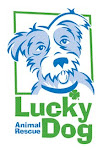 Lucy's Rescuers - Lucky Dog
