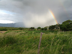 Rain and rainbow