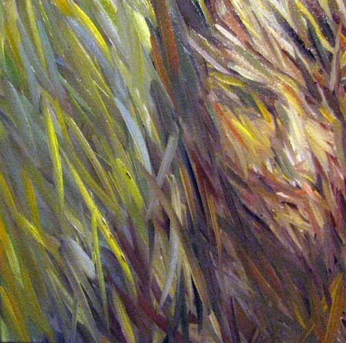 [ÐœÑƒÑ Ð¸Ð½4.jpg]