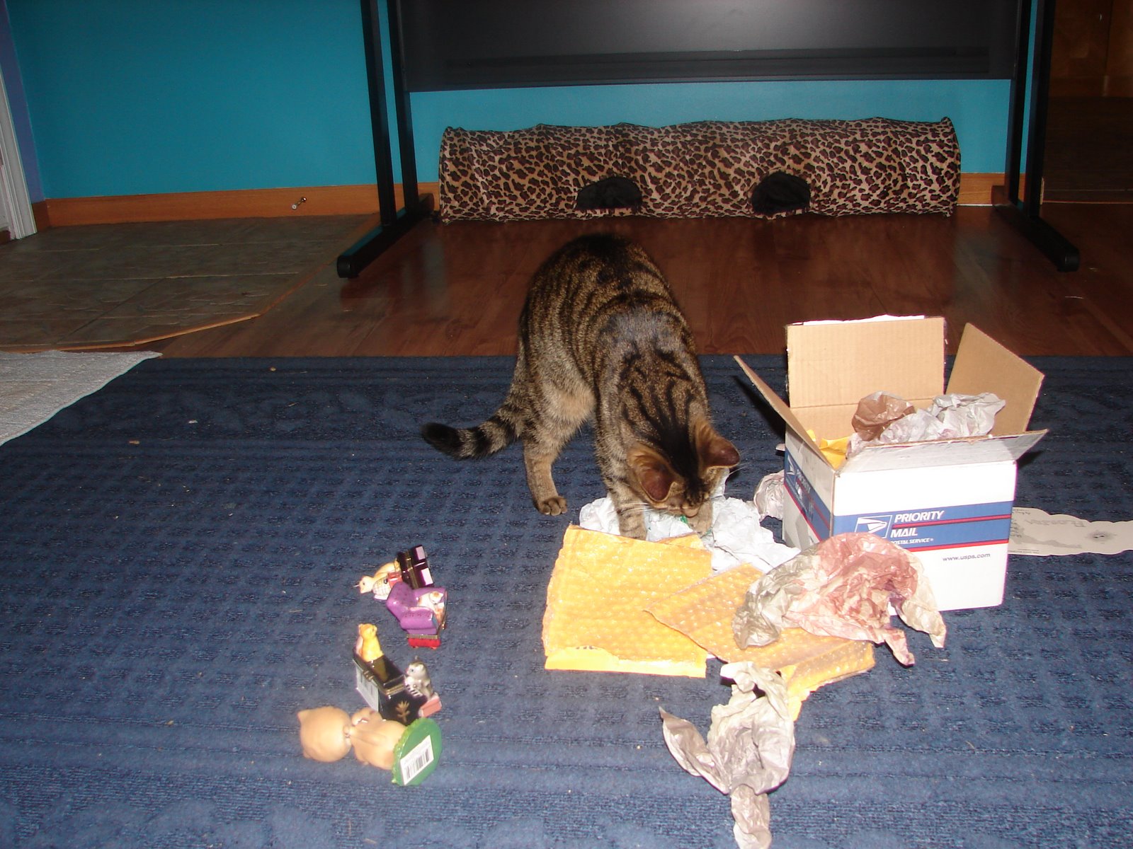 [september+22+011.jpg]