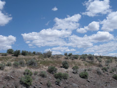 Rt 20 Oregon High Desert