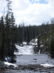 Yellowstone- Lewis Falls
