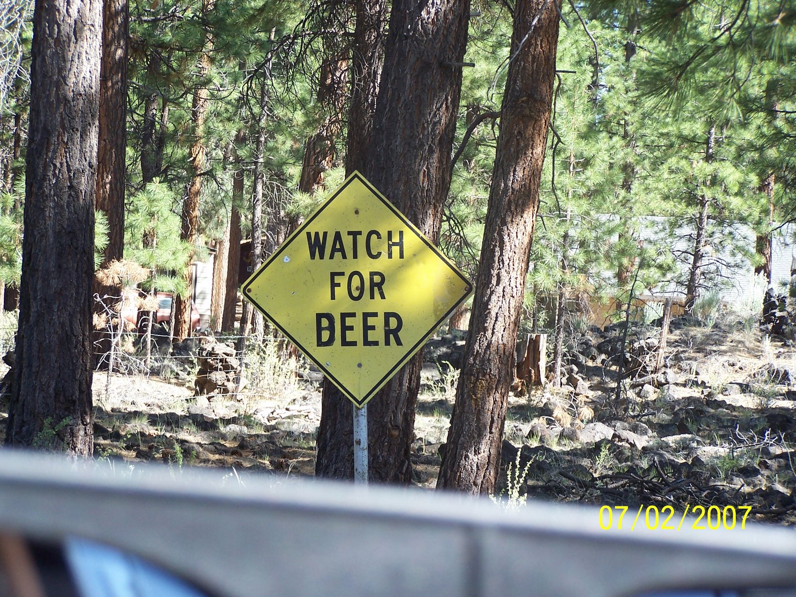 [reno+vacation+018.jpg]