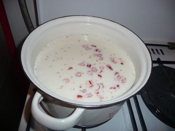 [2010-01-18-Panir01.JPG]