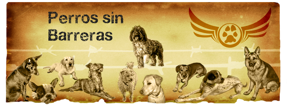 Perros sin barreras