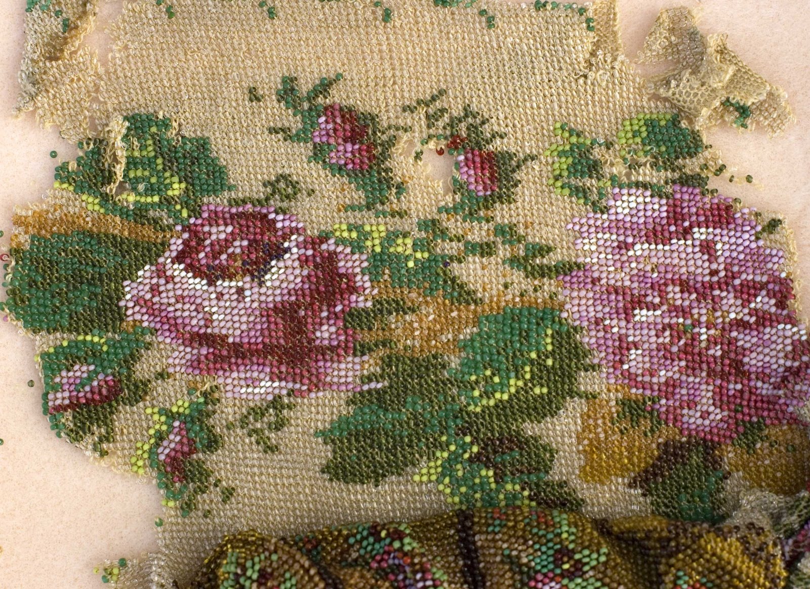 [fragment+perfect+rose.jpg]