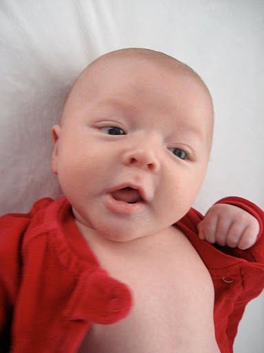 [IMG_2131.JPG]