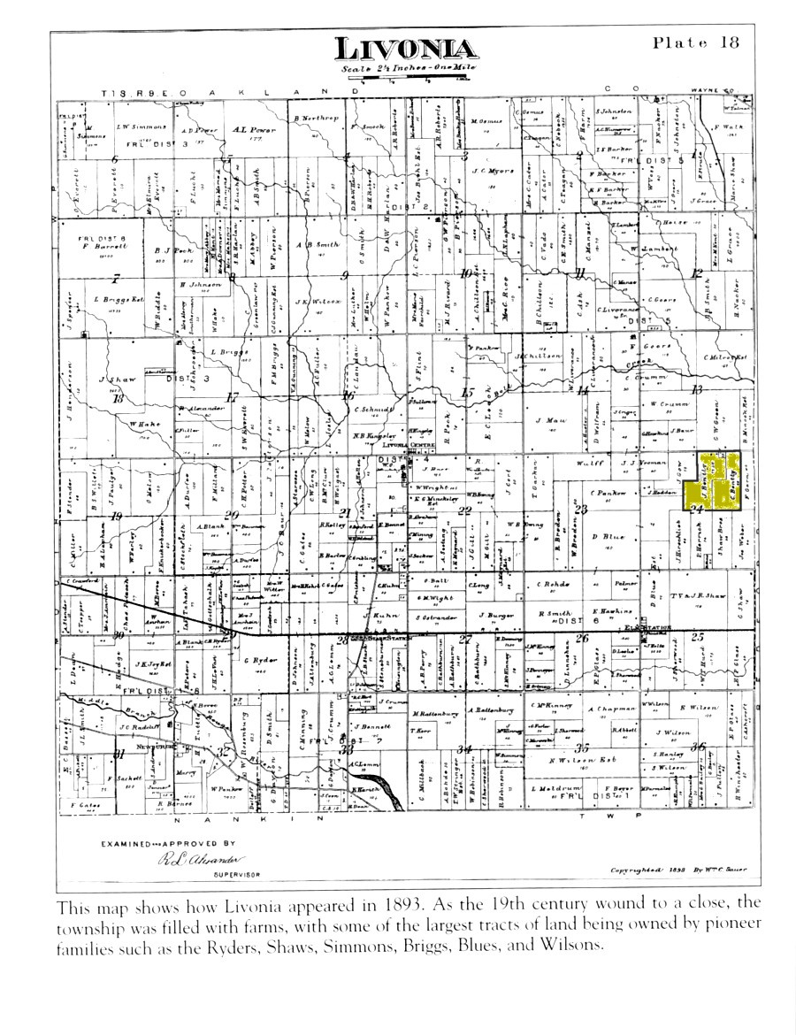 Parcel Search Wayne County Michigan at Loyd Miller blog