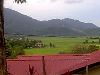 View Rumah Kampung Di Sawah Padi Images