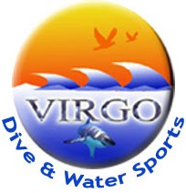 Logo Virgo