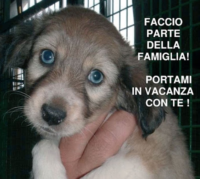 http://4.bp.blogspot.com/_vm704SiL6fs/SknyN-Hpx6I/AAAAAAAACFY/RIgIJNlaNuQ/s400/Non_abbandonarmi_pubblicity2008.jpg