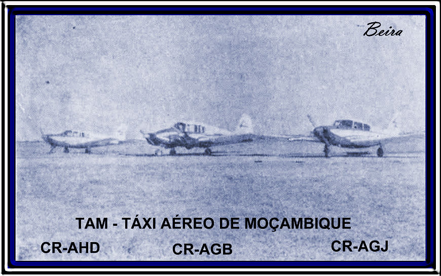 [TAM.JPG]