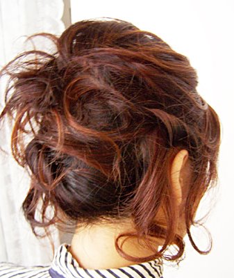 http://4.bp.blogspot.com/_vmWpvsQFgvs/TD4OfjdJVzI/AAAAAAAACsM/Tcoqj18Vfrc/s1600/hair1rs.jpg
