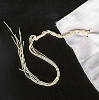 [tzitzit.gif]