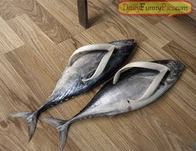 Funny Shoes Gallery -crAZY pictures