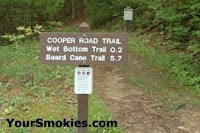 Cooper Road Trail