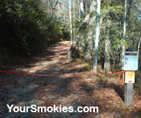Black Bear activity keeps Little Greenbrier hiking trails closed