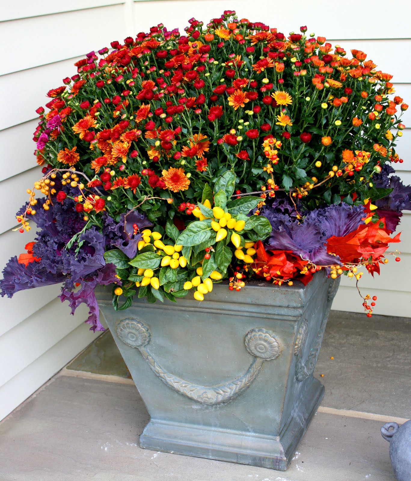 flores del sol autumn planting season