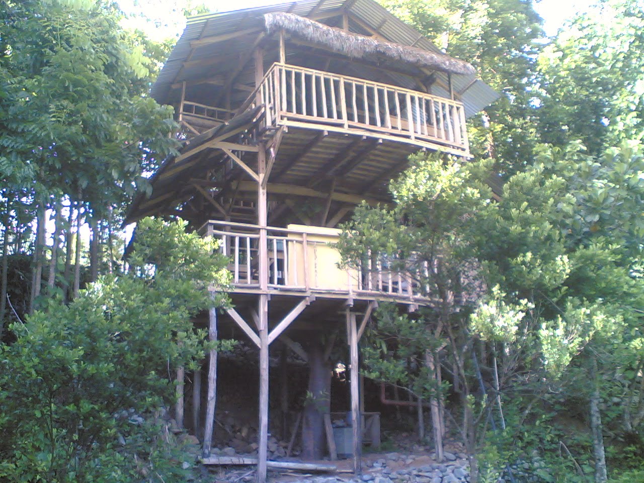 my treehouse How to build a treehouse in the backyard make a world-class backyard tree house that will stand the test of time would my kids take to the treehouse. my treehouse How to build a treehouse in the backyard make a world-class backyard tree house that will stand the test of time would my kids take to the treehouse.