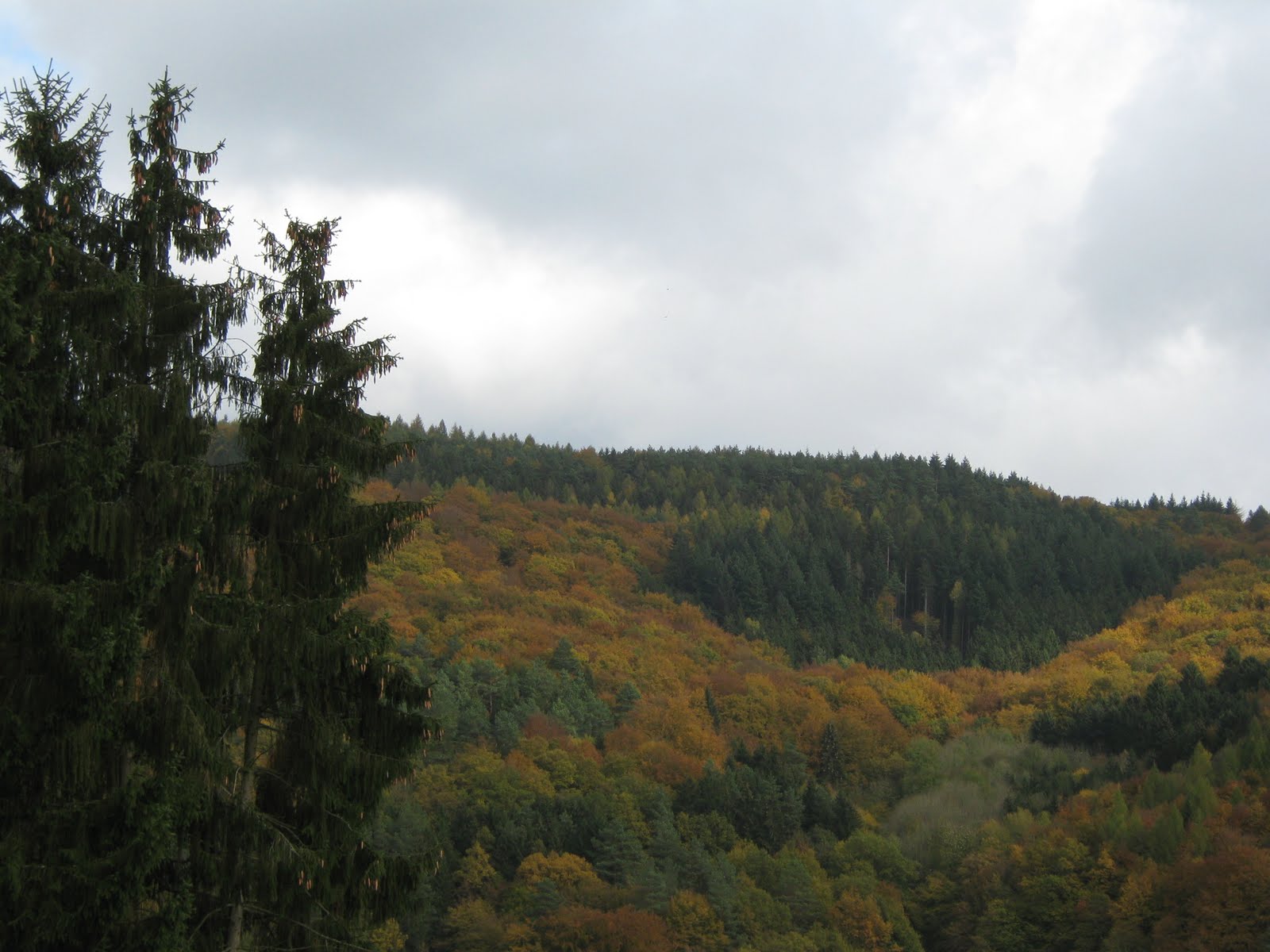 [IMG_2065.JPG]