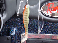 6 inch Basstrix Paddle Tail Swimbait