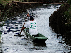 A remar!!!