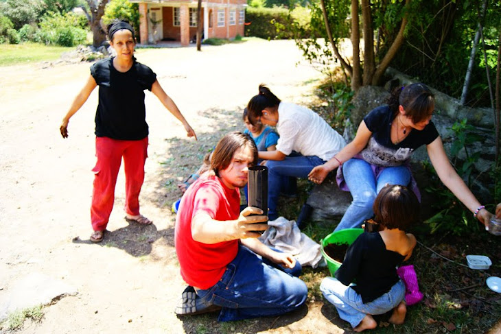 Trabajando en  el Viveron JUATARHU