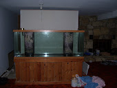 150g Display Tank