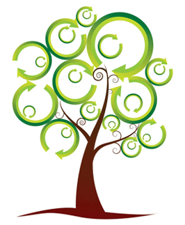 Frases Sobre A Sustentabilidade Ambiental