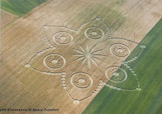 Nuovo bellissimo cerchio nel grano scoperto a Poirino (TO),è il più grande mai comparso in Italia.