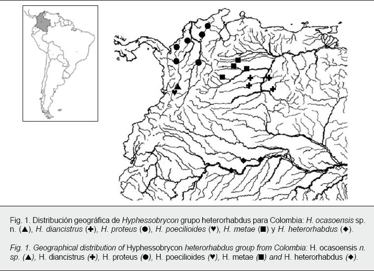 [Hyphessobrycon+ocasoensis+map.JPG]