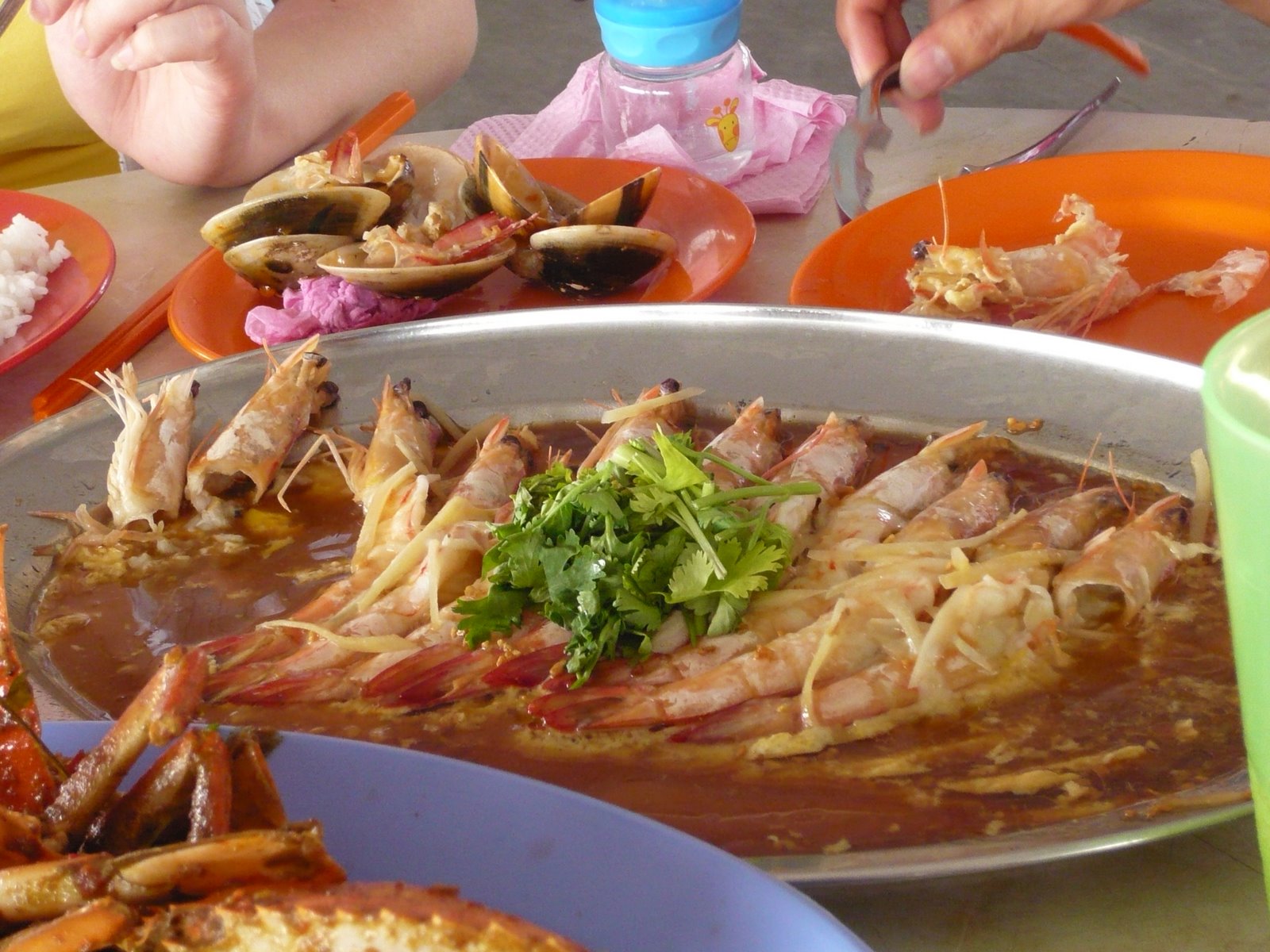 [P1020063.JPG]