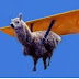 Flying Lama, Hidden Banner