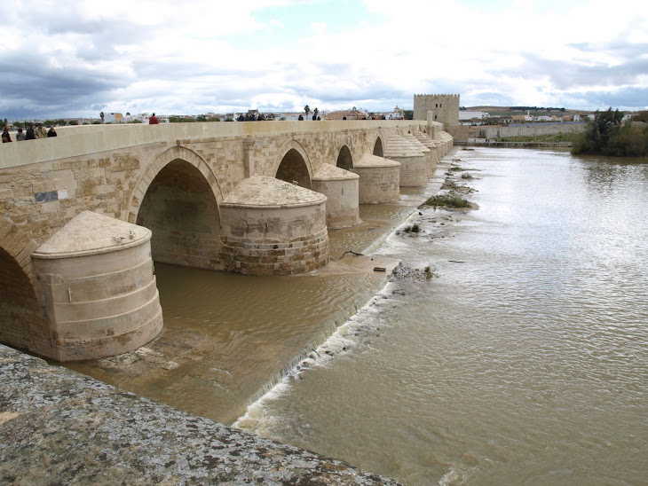 Ojos del puente romano llorando el agua del rio guadalquivir
