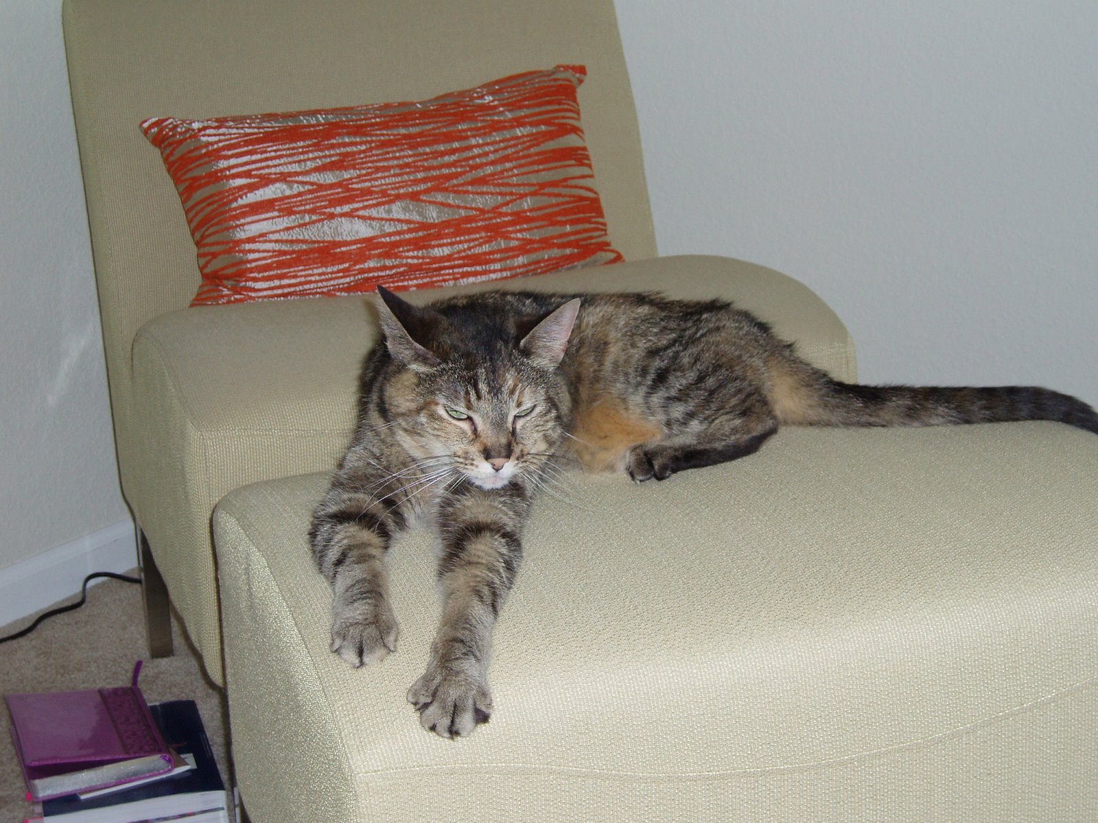 [P7110004.JPG]