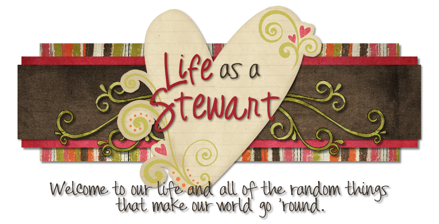 Life as a Stewart