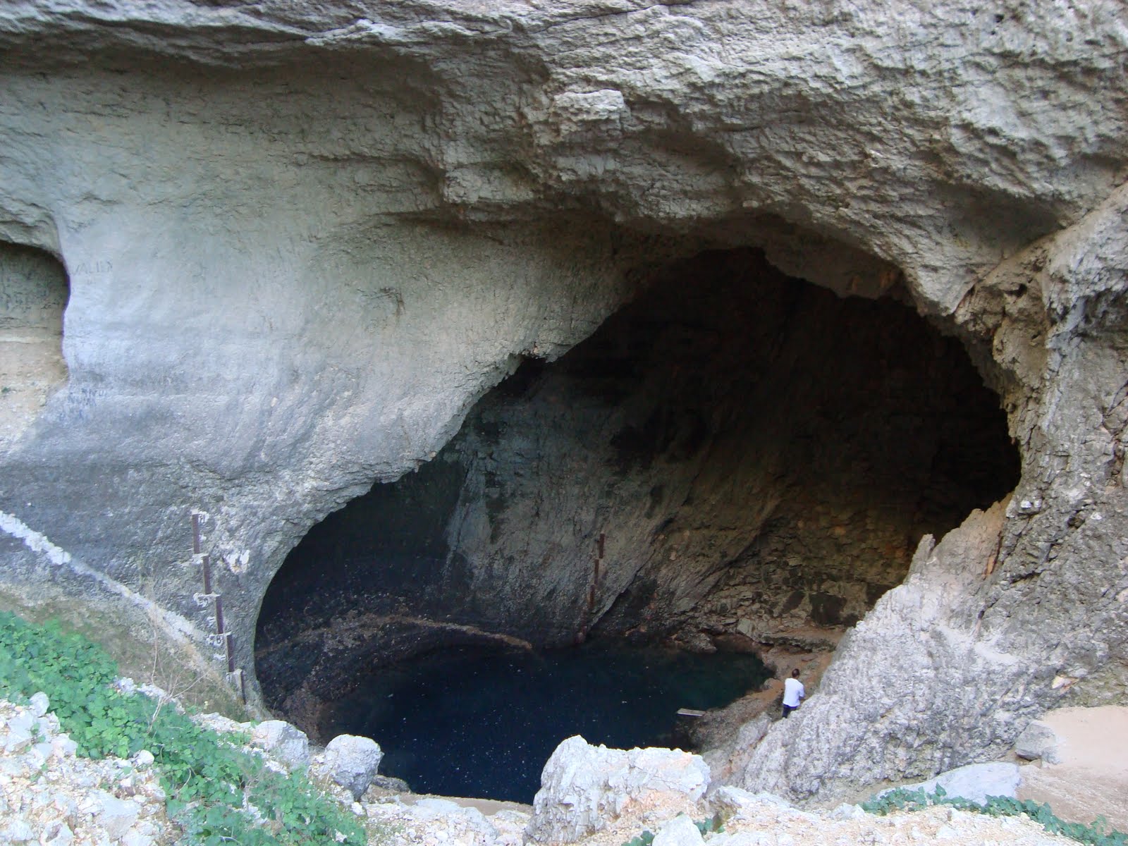 [DSC02609.JPG]