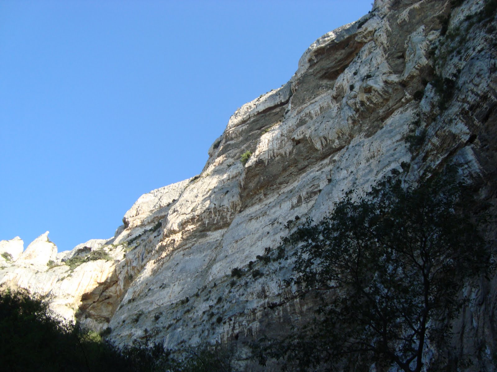 [DSC02607.JPG]